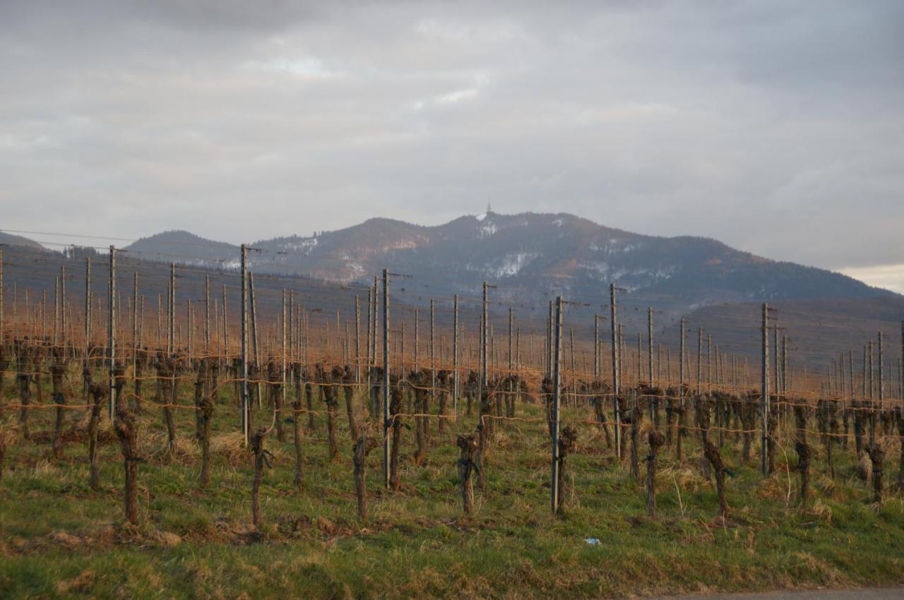 Ferienwohnung Castellberg Heitersheim Εξωτερικό φωτογραφία