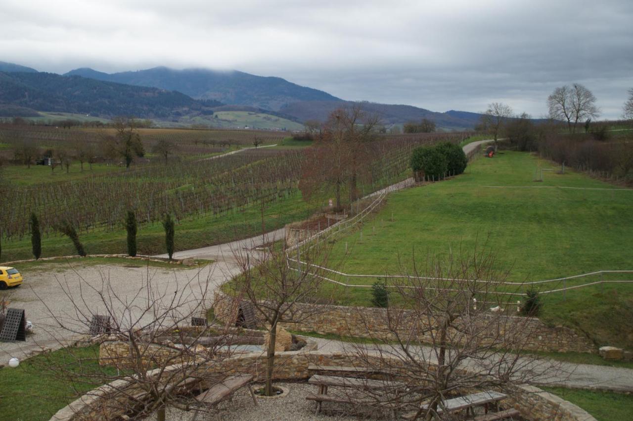 Ferienwohnung Castellberg Heitersheim Εξωτερικό φωτογραφία